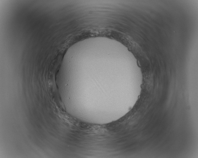 X0000082760770200702162024