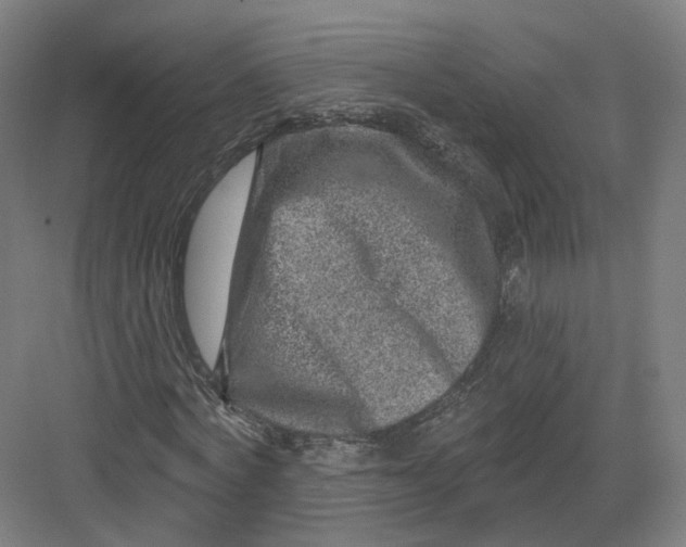 X0000082760772200702162024