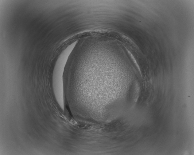 X0000082760773200702162024