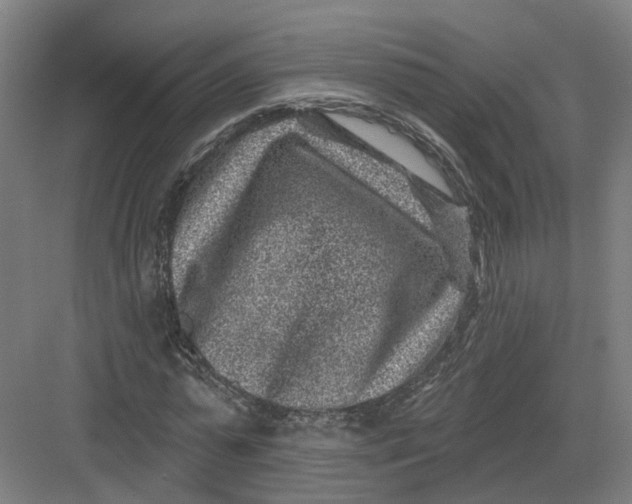 X0000082760775200702162024