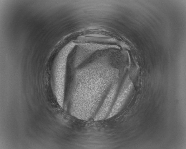 X0000082760776200702162024