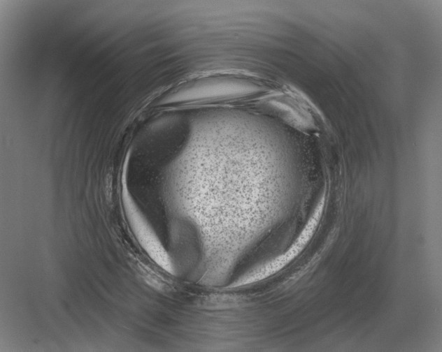 X0000082760777200702162024