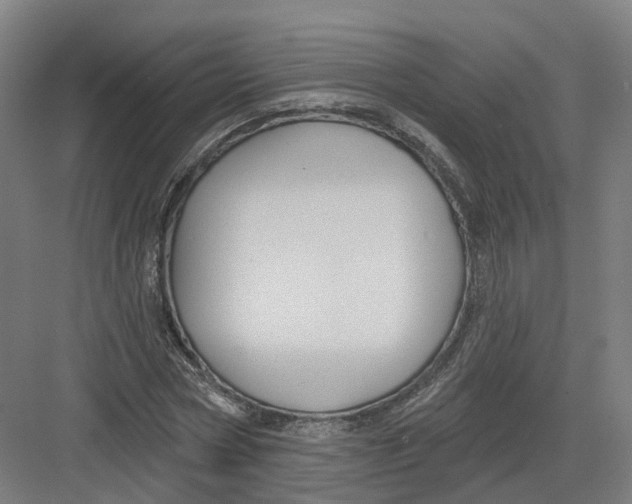 X0000082760778200702162024