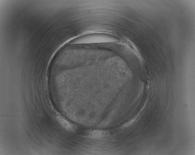 X0000082760779200702162024