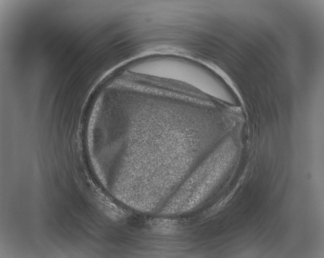 X0000082760783200702162024