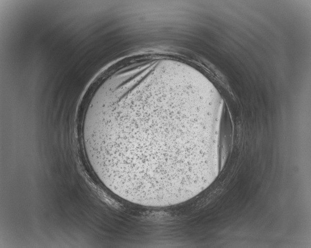 X0000082760784200702162024