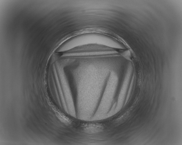 X0000082760786200702162024