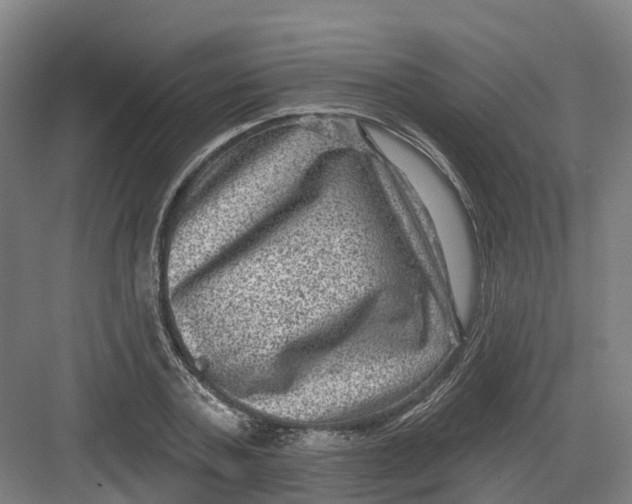 X0000082760787200702162024