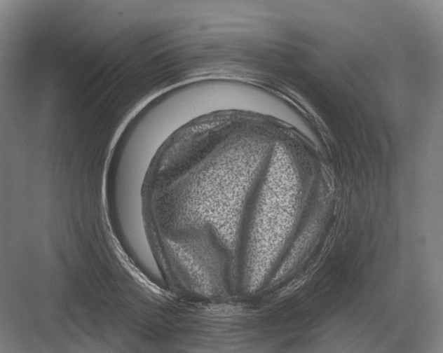 X0000082760788200702162024