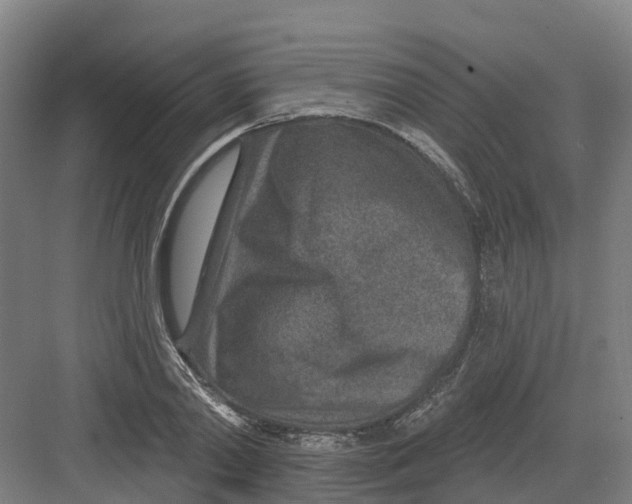 X0000082760790200702162024