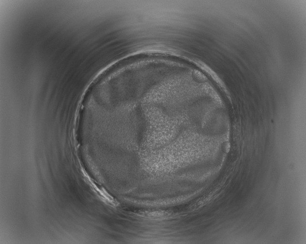 X0000082760791200702162024