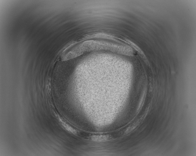 X0000082760793200702162024