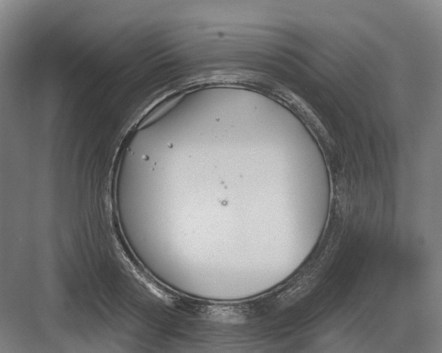 X0000082760794200702162024