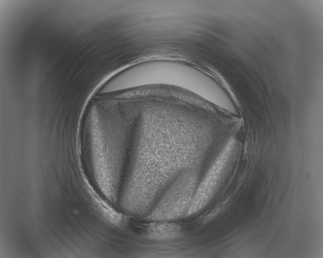 X0000082760795200702162024