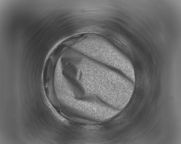 X0000082760796200702162024