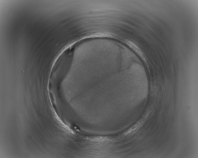 X0000082760797200702162024