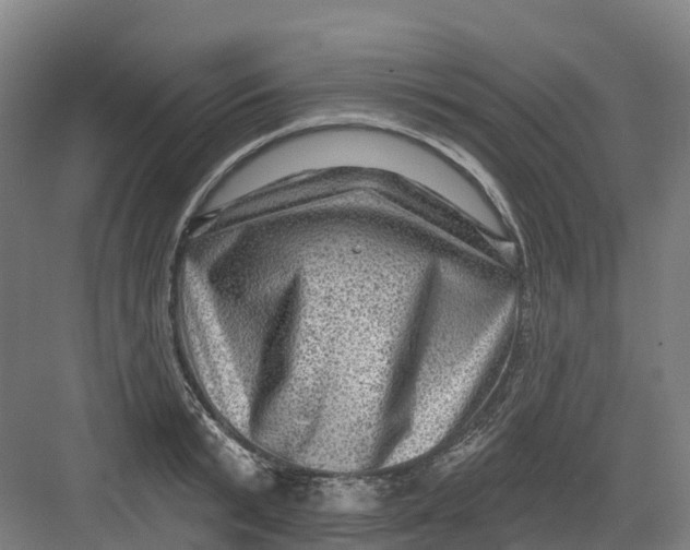 X0000082760799200702162024