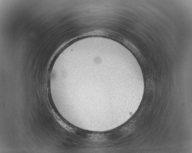 X0000082760800200702162024