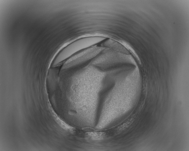 X0000082760805200702162024