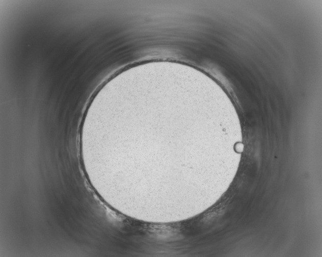 X0000082760807200702162024