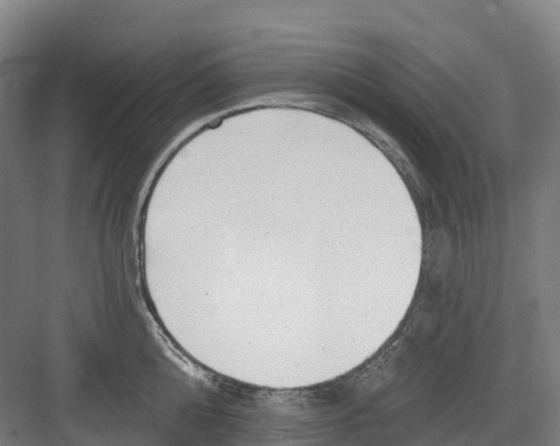 X0000082760808200702162024