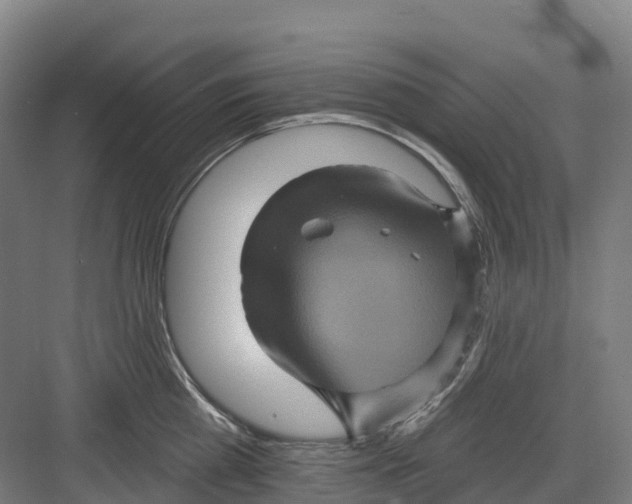 X0000082760809200702162024