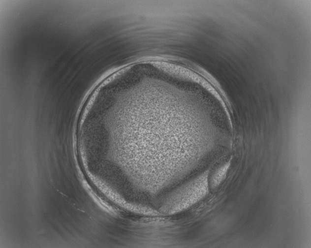 X0000082760811200702162024