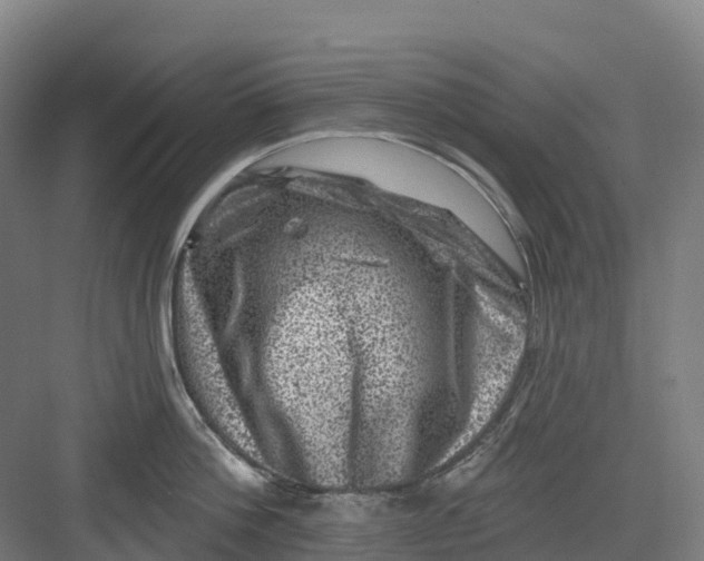 X0000082760812200702162024