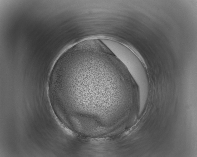 X0000082760813200702162024