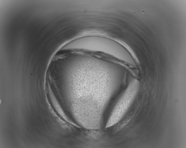 X0000082760815200702162024