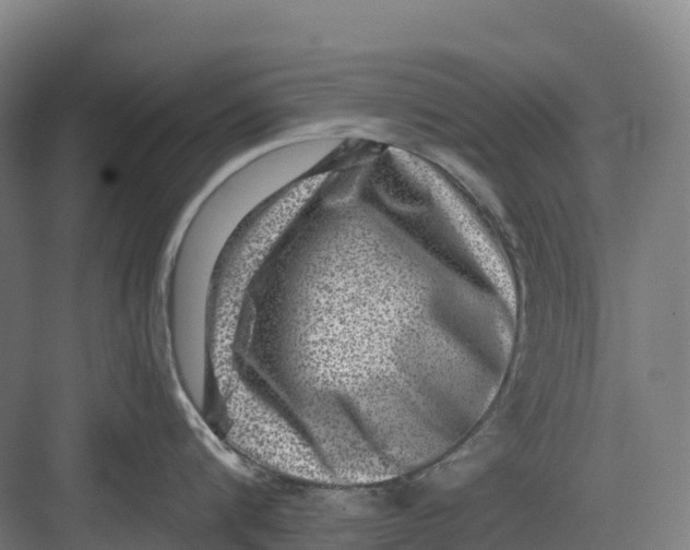 X0000082760816200702162024