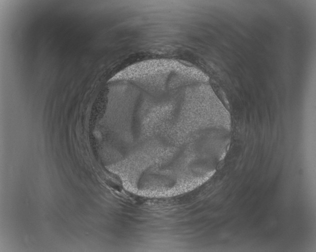 X0000082760817200702162023