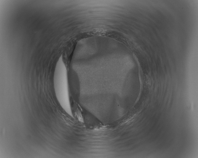 X0000082760818200702162023