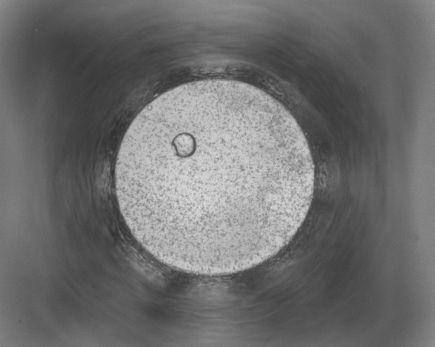 X0000082760820200702162023