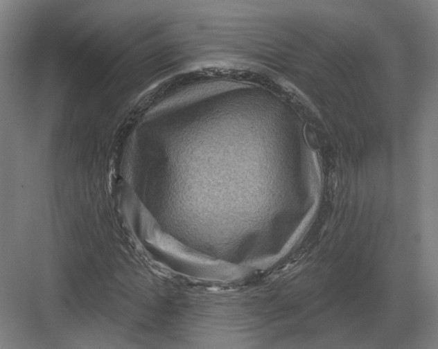 X0000082760822200702162023