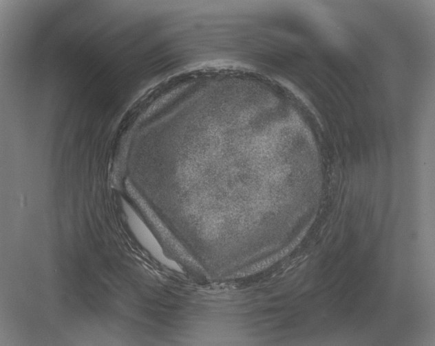 X0000082760823200702162023