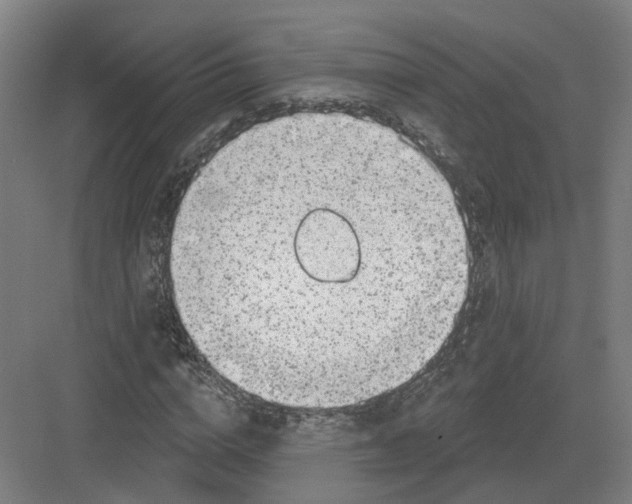 X0000082760824200702162023