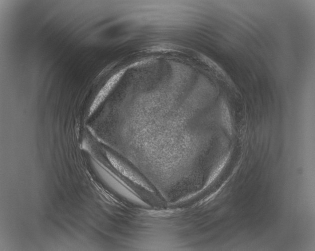 X0000082760825200702162023