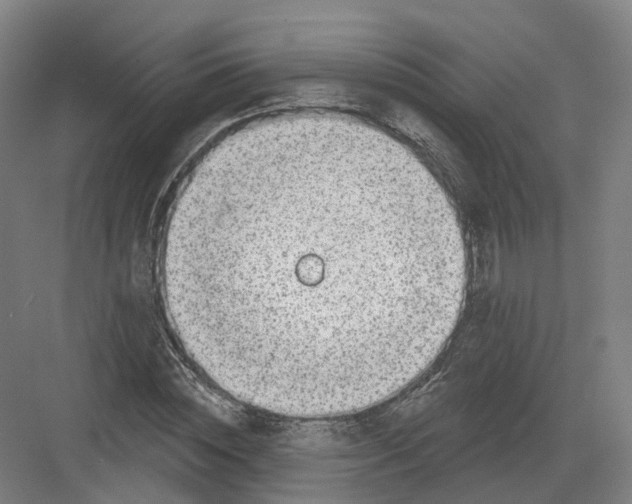 X0000082760828200702162023