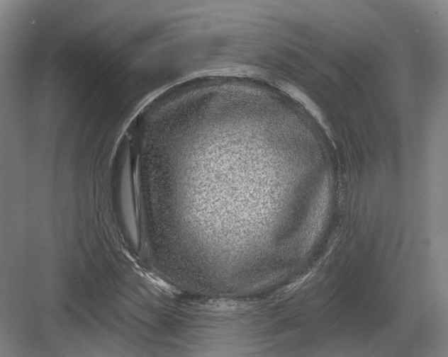 X0000082760829200702162023