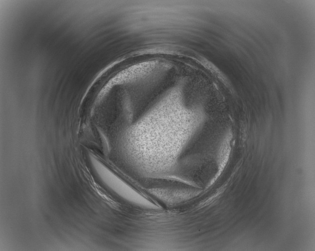 X0000082760830200702162023