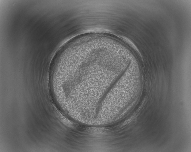 X0000082760831200702162023