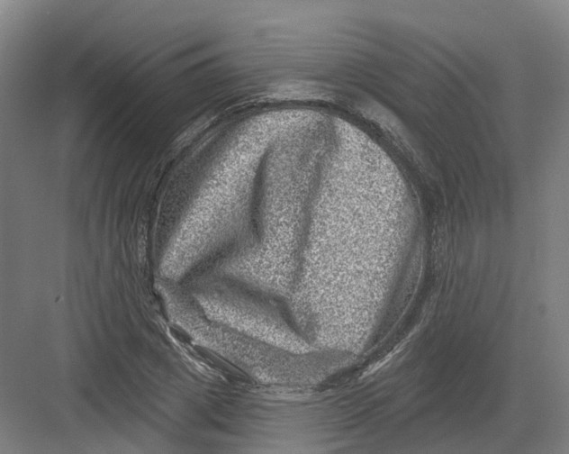 X0000082760833200702162023