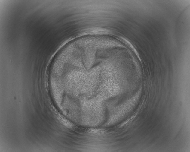 X0000082760835200702162023