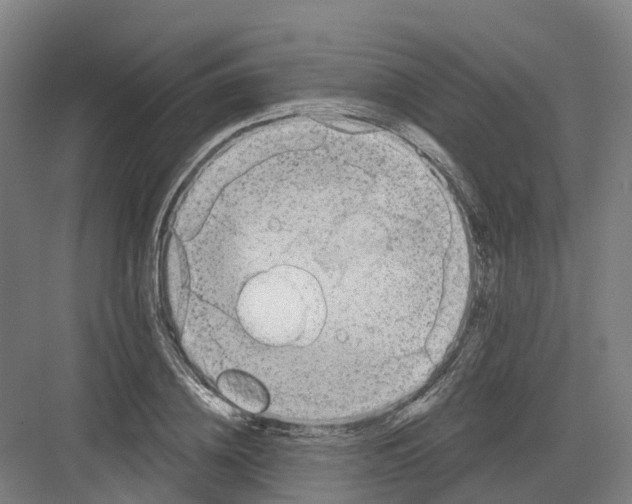 X0000082760836200702162023