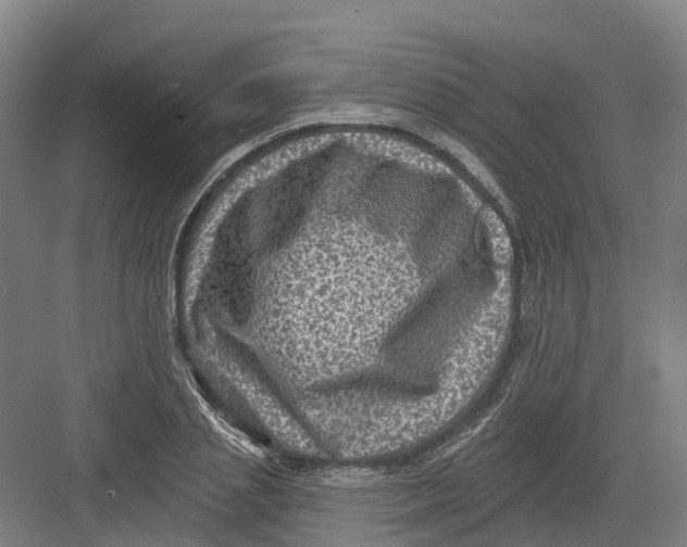 X0000082760837200702162023