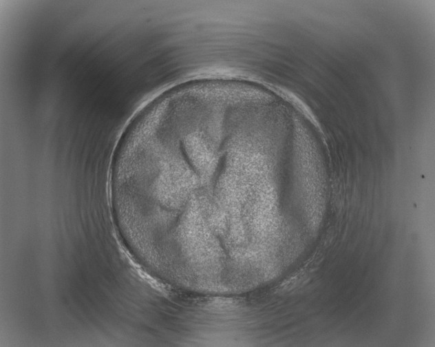 X0000082760839200702162023