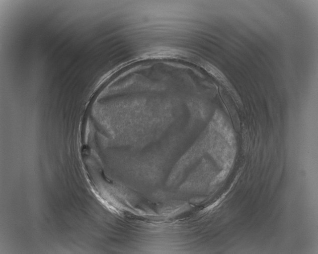 X0000082760842200702162023