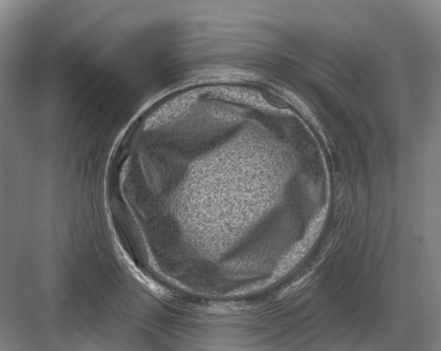 X0000082760843200702162023