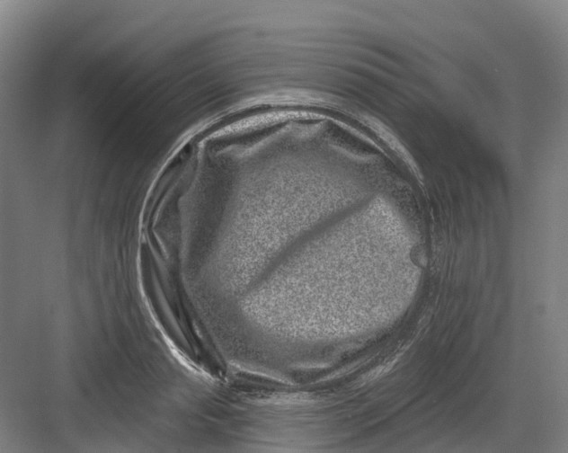 X0000082760845200702162023